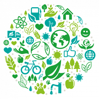 L'Engagement Environnemental Mary Cohr