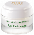 Pur Environnement