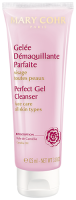 Perfect Gel Cleanser