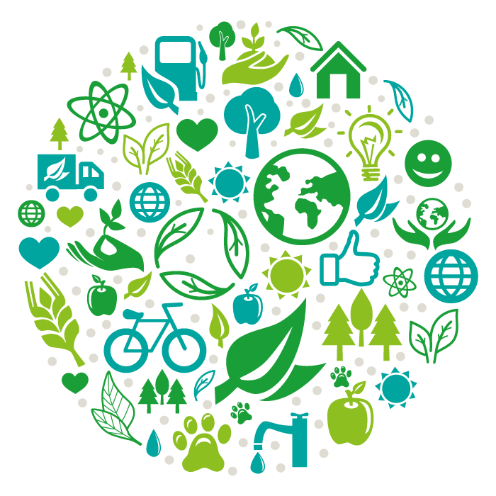 L'Engagement Environnemental Mary Cohr